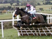 30 January 2005; Justified with Mick Fitzgerald  up, jumps the last on their way to winning the Byrne Group Plc Novice Hurdle. Punchestown Racecourse, Co. Kildare. Picture credit; David Maher / SPORTSFILE