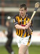 6 February 2005; John Tennyson, Kilkenny. Walsh Cup, Semi-Final, Offaly v Kilkenny, St. Brendan's Park, Birr, Co. Offaly. Picture credit; Damien Eagers / SPORTSFILE