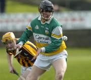 6 February 2005; Mick O'Hara, Offaly. Walsh Cup, Semi-Final, Offaly v Kilkenny, St. Brendan's Park, Birr, Co. Offaly. Picture credit; Damien Eagers / SPORTSFILE