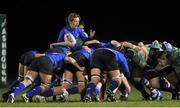22 November 2013; Sarah Jane Cody, Leinster, prepares to put the ball into the scrum. Women's Interprovincial Rugby Friendly, Leinster v Exiles, Ashbourne RFC, Ashbourne, Co. Meath. Picture credit: Pat Murphy / SPORTSFILE