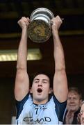 24 November 2013; Na Piarsaigh captain James O'Brien lifts the cup. AIB Munster Senior Club Hurling Championship Final, Na Piarsaigh, Limerick v Sixmilebridge, Clare. Cusack Park, Ennis, Co. Clare. Picture credit: Diarmuid Greene / SPORTSFILE