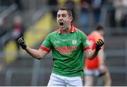 24 November 2013; Frankie Dolan, St Brigid's, celebrates after scoring a late point in normal time. AIB Connacht Senior Club Football Championship Final, St Brigid's, Roscommon, v Castlebar Mitchels, Mayo. Dr. Hyde Park, Roscommon. Picture credit: David Maher / SPORTSFILE