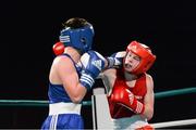 29 November 2013; Sam Carroll, Bray Boxing Club, right, exchanges punches with Sewan Holmes, Crumlin Boxing Club. Road to Rio with Katie Taylor and Bray Boxing Club, Mansion House, Dublin. Photo by Sportsfile