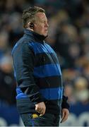 30 November 2013; Leinster head coach Matt O'Connor. Celtic League 2013/14, Round 9, Leinster v Scarlets, RDS, Ballsbridge, Dublin. Picture credit: Ramsey Cardy / SPORTSFILE