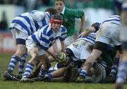 21 February 2005; The Blackrock College scrum-half Alan MacGinty feeds the ball to his out-half. Leinster Schools Junior Cup Quarter-Final, Blackrock College v Gonzaga College, Donnybrook, Dublin. Picture credit; Ciara Lyster / SPORTSFILE