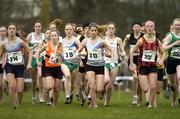 19 February 2005; Competitors, including Ashling Baker (314), Breffni Twohig (315), Linda Byrne (313), all Dundrum South Dublin A.C., Claire Hackett (333) and Maria Halley (336) in action during the Junior Womens event. AAI National Inter Club Cross Country Championships, Santry, Dublin. Picture credit; Brian Lawless / SPORTSFILE