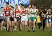 19 February 2005; Competitors, including Eoin McCarthy (377), Michael Maher (375) and Joseph O'Loughlin (374), of Ennis Track A.C., Daniel Kip (361), and Paul Boylan (360), both of Clonliffe Harriers A.C., during the Junior Mens event. AAI National Inter Club Cross Country Championships, Santry, Dublin. Picture credit; Brian Lawless / SPORTSFILE