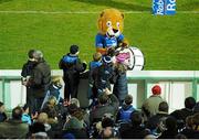 30 November 2013; Leo The Lion meets fans at half time. Celtic League 2013/14 Round 9, Leinster v Scarlets, RDS, Ballsbridge, Dublin. Picture credit: Ramsey Cardy / SPORTSFILE