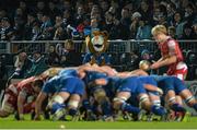 30 November 2013; New Leinster Rugby mascot, Leona the Lioness watches on during the game. Celtic League 2013/14 Round 9, Leinster v Scarlets, RDS, Ballsbridge, Dublin. Picture credit: Ramsey Cardy / SPORTSFILE