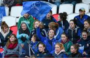 30 November 2013; Leinster supporters. Women's Interprovincial, Ulster v Leinster, Ravenhill Park, Belfast, Co. Antrim. Picture credit: Oliver McVeigh / SPORTSFILE