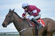 1 December 2013; Somethingwonderful, with Bryan Cooper up, during the Bar One Racing Royal Bond Novice Hurdle. Fairyhouse Racecourse, Co. Meath. Picture credit: Ramsey Cardy / SPORTSFILE