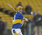 20 February 2005; Donal Shelly, Tipperary. Allianz National Hurling League, Division 1B, Tipperary v Down, Semple Stadium, Co.Tipperary. Picture credit; David Maher / SPORTSFILE