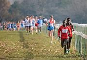 8 December 2013; Turkey's Ali Kaya leads eventual second placed Belgium's Isaac Kimeli on his way to winning the Men's Junior Race during the Spar European Cross Country Championships 2013. Friendship Park, Belgrade, Serbia. Picture credit: Brendan Moran / SPORTSFILE