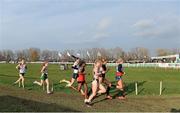 8 December 2013; Ireland's Fonnuala Britton, 2nd from left, trails the leaders in the Women's Senior Race during the Spar European Cross Country Championships 2013. Friendship Park, Belgrade, Serbia. Picture credit: Brendan Moran / SPORTSFILE