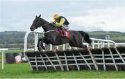8 December 2013; Apache Jack, with Bryan Cooper up, on their way to winning the 2014 Annual Membership Maiden Hurdle. Punchestown Racecourse, Punchestown, Co. Kildare. Picture credit: Ramsey Cardy / SPORTSFILE