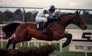 7 February 1999; Alexander Banquet, with Ruby Walsh up, clear the last, first time around, on their way to winning the Deloitte and Touche Novice Hurdle at Leopardstown Racecourse in Dublin. Photo by Matt Browne/Sportsfile