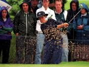 28 July 1996; Alison Nicholas of England during the final round of the Guardian Ladies Irish Open at Citywest Golf Club in Dublin. Photo by Pat Cashman/Sportsfile