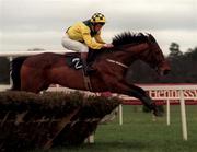 8 February 1998; Catchable, with Garreth Cotter up, during the Spring Juvenile Hurdle at Leopardstown Racecourse in Dublin. Photo by Matt Browne/Sportsfile
