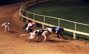 18 November 1996; A general view of the action from the greyhound racing meeting at Shelbourne Park in Dublin. Photo by David Maher/Sportsfile