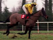 28 January 1999; Kazaran, with Kieran Gaule up, goes to post for the INH Stallion Owners Maiden Hurdle at Gowran Park in Kilkenny. Photo by Matt Browne/Sportsfile