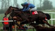 28 January 1999; Kodabad, with Ruby Walsh up, jumps the last alongside Wither Or Which, with David Casey up, during the INH Stallion Owners Maiden Hurdle at Gowran Park in Kilkenny. Photo by Matt Browne/Sportsfile