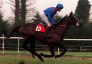 28 January 1999; Kodabad, with Ruby Walsh up, goes to post for the INH Stallion Owners Maiden Hurdle at Gowran Park in Kilkenny. Photo by Matt Browne/Sportsfile