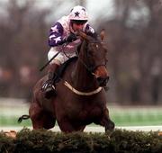 27 December 1998; Manus The Man, with Tom Treacy up, jumps the last on their way to finsihing third in the Stakis Casinos Handicap Hurdle at Leopardstown Racecourse in Dublin. Photo by Aoife Rice/Sportsfile