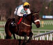9 January 1999; Native Estates, with Paul Carberry up, jumps the last on the way to winning the Fitzpatrick Hotel Group Novice Chase at Leopardstown Racecourse in Dublin. Photo by Ray McManus/Sportsfile