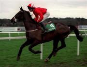 27 December 1998; Newton Heath, with Jamie Osborne up goes to post for the Paddy Power Future Champions Novice Hurdle at Leopardstown Racecourse in Dublin. Photo by Ray McManus/Sportsfile