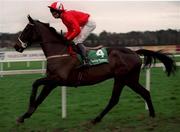 27 December 1998; Newton Heath, with Jamie Osborne up goes to post for the Paddy Power Future Champions Novice Hurdle at Leopardstown Racecourse in Dublin. Photo by Ray McManus/Sportsfile
