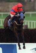 9 January 1999; Oakler, with Tommy Treacy up, during the Pierse Leopardstown Handicap Chase at Leopardstown Racecourse in Dublin. Photo by Aoife Rice/Sportsfile