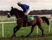 27 December 1998; Opera Hat, with Jamie Osborne up, goes to post for the Paddy Power Dail-a-Bet Handicap Chase at Leopardstown Racecourse in Dublin. Photo by Ray McManus/Sportsfile