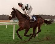 26 December 1998; Persian Isle, with David Casey up, goes to post for The Denny Juvenile Hurdle at Leopardstown Racecourse in Dublin. Photo by Ray McManus/Sportsfile