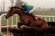 28 January 1999; Wither Or Which, with David Casey up, during the INH. Stallion Owners Maiden Hurdle at Gowran Park in Kilkenny. Photo by Matt Browne/Sportsfile
