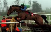 28 January 1999; Wither Or Which, with David Casey up, during the INH. Stallion Owners Maiden Hurdle at Gowran Park in Kilkenny. Photo by Matt Browne/Sportsfile