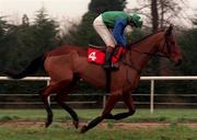 28 January 1999; Wither Or Which, with David Casey up, goes to post ahead of the INH. Stallion Owners Maiden Hurdle at Gowran Park in Kilkenny. Photo by Matt Browne/Sportsfile
