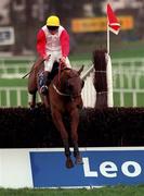 9 January 1999; Roundwood, with Garrett Cotter up, jumps the last on their way to finishing second in the Pierse Leopardstown Handicap Chase at Leopardstown Racecourse in Dublin. Photo by Aoife Rice/Sportsfile