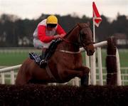 9 January 1999; Roundwood, with Garrett Cotter up, jump the last on their way to finishing second in the Pierse Leopardstown Handicap Chase at Leopardstown Racecourse in Dublin. Photo by Ray McManus/Sportsfile