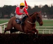 9 January 1999; Roundwood, with Garrett Cotter up, jump the last on their way to finishing second in the Pierse Leopardstown Handicap Chase at Leopardstown Racecourse in Dublin. Photo by Ray McManus/Sportsfile