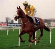 26 December 1998; Simulacrum, with David Evans up, goes to post for The Denny Juvenile Hurdle at Leopardstown Racecourse in Dublin. Photo by Ray McManus/Sportsfile