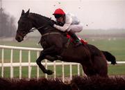 28 January 1999; Sister Christian, with Norman Williamson up, during the Dinn Ri Maiden Hurdle at Gowran Park in Kilkenny. Photo by Matt Browne/Sportsfile