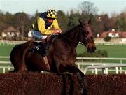 28 December 1998; Super Dealer, with Garrett Cotter up, jumps the last during the William Neville & Sons Novice Chase at Leopardstown Racecourse in Dublin. Photo by Matt Browne/Sportsfile