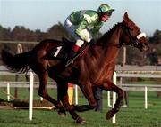 28 December 1998; To Your Honour, with Francis Flood up, on the way to winning the O'Dwyers Stillorgan Orchard Novice Hurdle at at Leopardstown Racecourse in Dublin. Photo by Matt Browne/Sportsfile