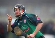 4 March 2005; Niall Healy, Limerick IT, celebrates scoring a goal against NUIG. Datapac Fitzgibbon Cup Semi-Final, Limerick IT v NUI Galway, Limerick Institute of Technology, Limerick. Picture credit; Kieran Clancy / SPORTSFILE