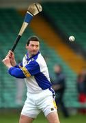 27 February 2005; Brendan Cummins, Tipperary goalkeeper. Allianz National Hurling League, Division 1B, Limerick v Tipperary, Gaelic Grounds, Limerick. Picture credit; Kieran Clancy / SPORTSFILE