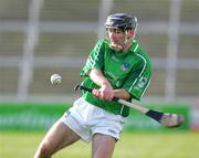 27 February 2005; Michael Cahill, Limerick. Allianz National Hurling League, Division 1B, Limerick v Tipperary, Gaelic Grounds, Limerick. Picture credit; Kieran Clancy / SPORTSFILE