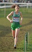 8 December 2013; Ireland's Sarah Mulligan on her way to finishing in 44th place in the Women's Senior Race during the Spar European Cross Country Championships 2013. Friendship Park, Belgrade, Serbia. Picture credit: Brendan Moran / SPORTSFILE