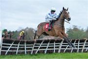 8 December 2013; Sullane Chief, with Conor Walsh up, on their way to winning the Punchestown For Events Handicap Hurdle. Punchestown Racecourse, Punchestown, Co. Kildare. Picture credit: Ramsey Cardy / SPORTSFILE