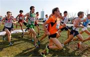 8 December 2013; Ireland's Shane Quinn on his way to finishing in 41st place in the Men's U23 Race during the Spar European Cross Country Championships 2013. Friendship Park, Belgrade, Serbia. Picture credit: Brendan Moran / SPORTSFILE