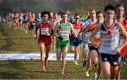 8 December 2013; Ireland's Shane Quinn on his way to finishing in 41st place in the Men's U23 Race during the Spar European Cross Country Championships 2013. Friendship Park, Belgrade, Serbia. Picture credit: Brendan Moran / SPORTSFILE